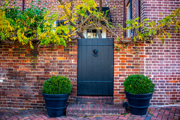 Brick Wall with Gate - Alexandria