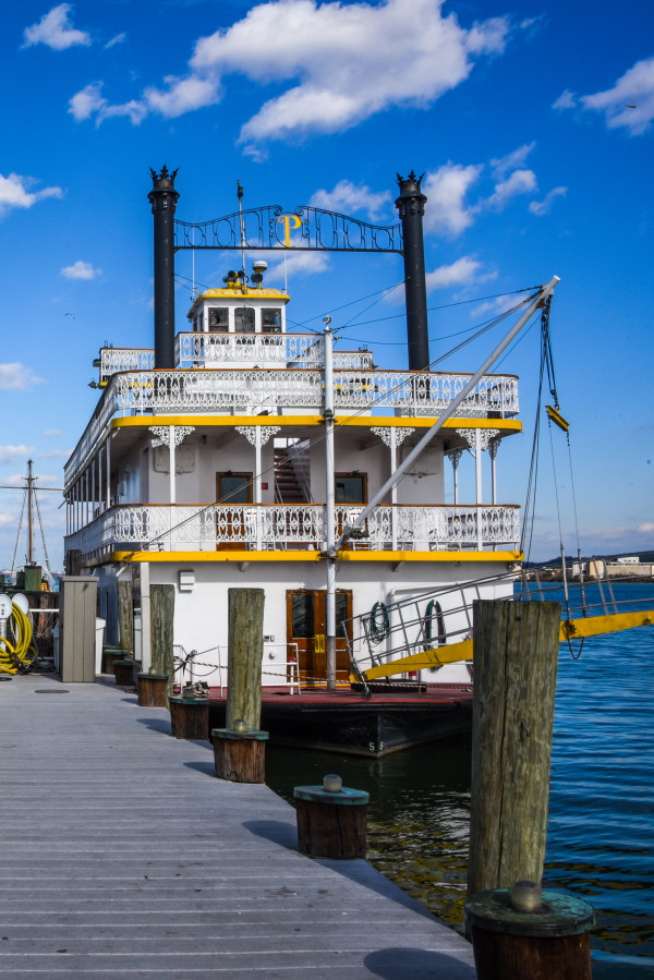 Cherry Blossom Riverboat 3 - Alexandria, Virginia