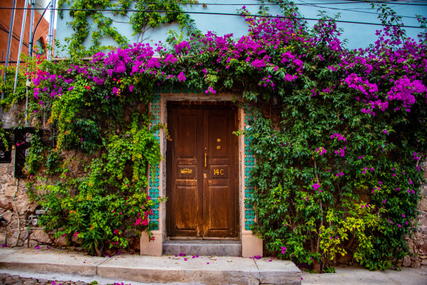 Door with Purple Bougainvillea - San Miguel de Allende, Mexico by Jenny Nordstrom