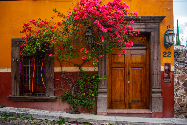 Door in Gold with Bougainvillea - San Miguel de Allende, Mexico by Jenny Nordstrom
