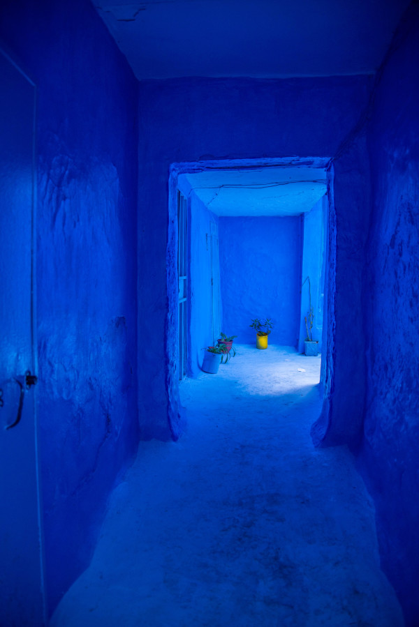 The Yellow Pot - Chefchaouen, Morocco by Jenny Nordstrom