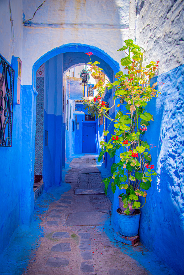 Archway with Flowers - Chefchaouen, Morocco