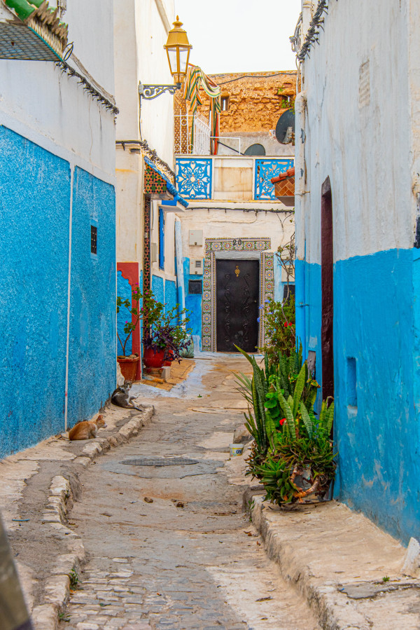 Blue Alleyway - Rabat, Morocco