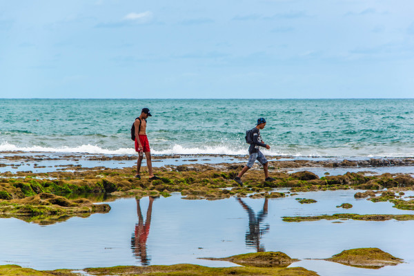 Exploring the Tidepools - Rabat, Morocco