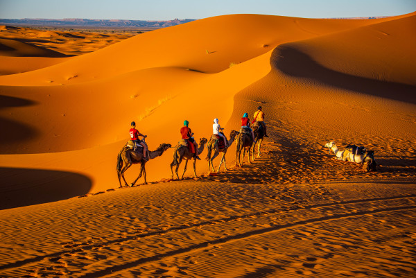 Camel Expedition in the Sahara - Erg Chebbi, Morocco