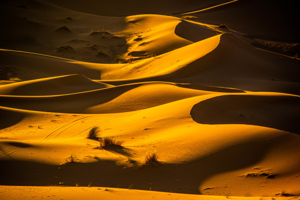 Sahara Shadows #2 - Erg Chebbi, Morocco
