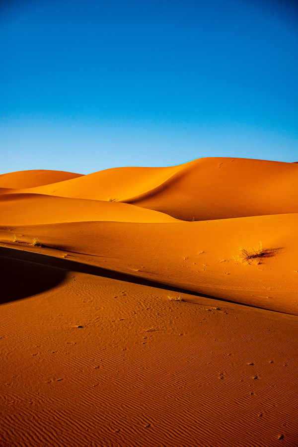 Sand Dune Abstract #1 - Sahara Desert, Morocco