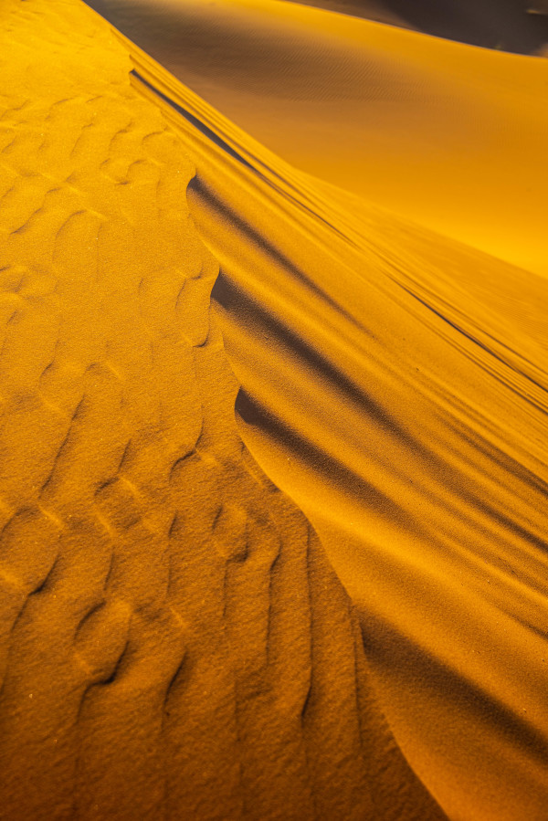 Sand Dune Abstract #2 - Sahara Desert, Morocco