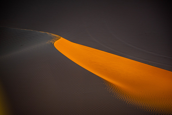 Sand Dune Abstract #4 - Sahara Desert, Morocco