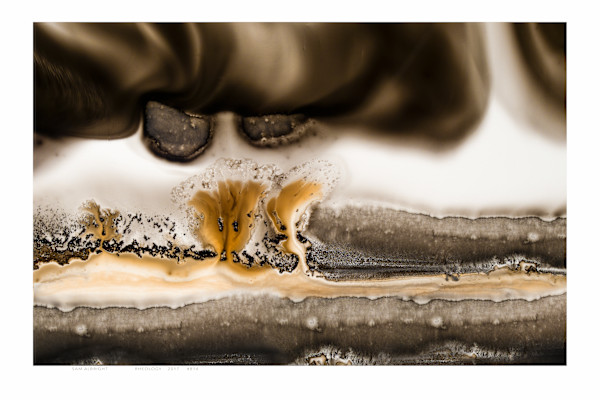 Rheology 814 by Sam Albright