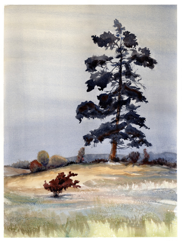 Bush and Lone Pine by Sam Albright
