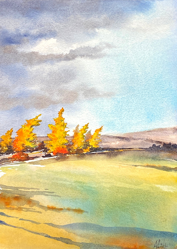 Catch the Light by Sam Albright