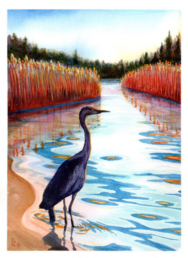 Heron Reed Pond by Sam Albright