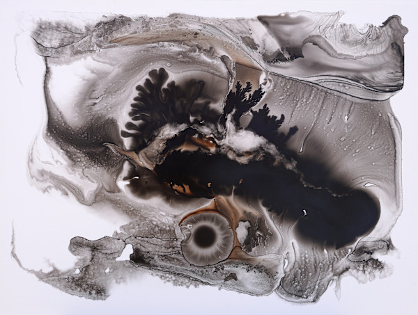 Rheology 1303 by Sam Albright