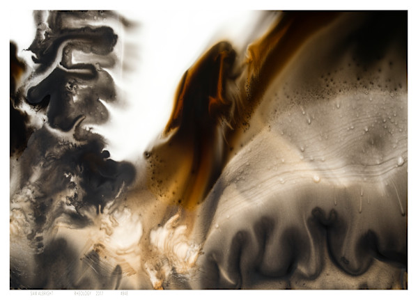 Rheology 848 by Sam Albright