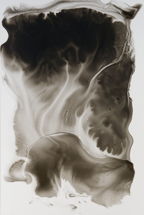 Rheology 890 by Sam Albright