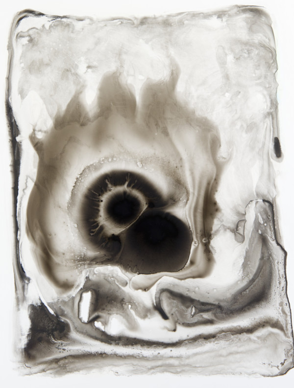 Rheology 892 by Sam Albright