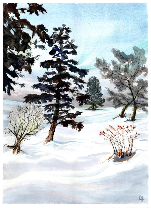 Winter Trees by Sam Albright