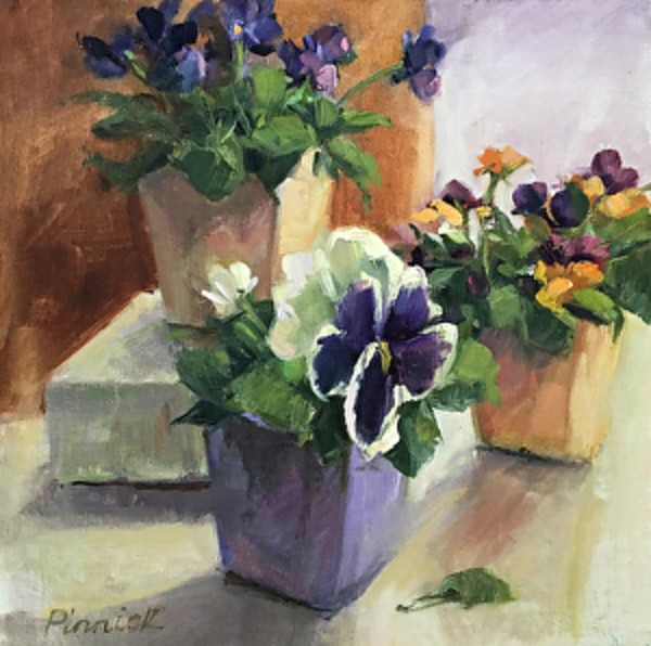 Pansies