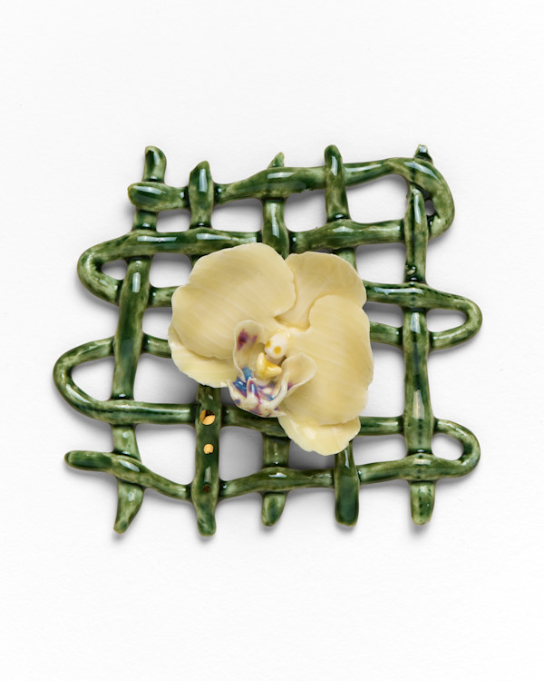 Orchid Weaving