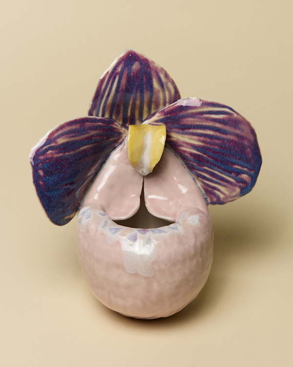 Slipper Orchid Pot
