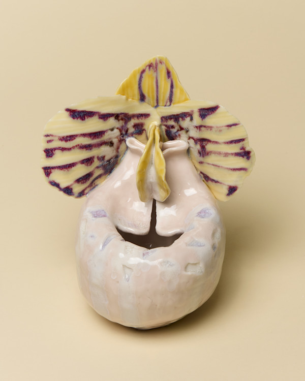 Slipper Orchid Pot