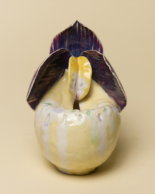 Slipper Orchid Pot