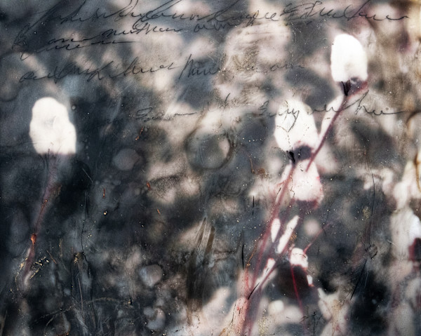 Snow Capped Faeries by Angela Wimmer