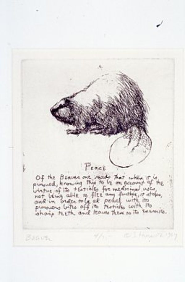 Beaver by Sid Hurwitz