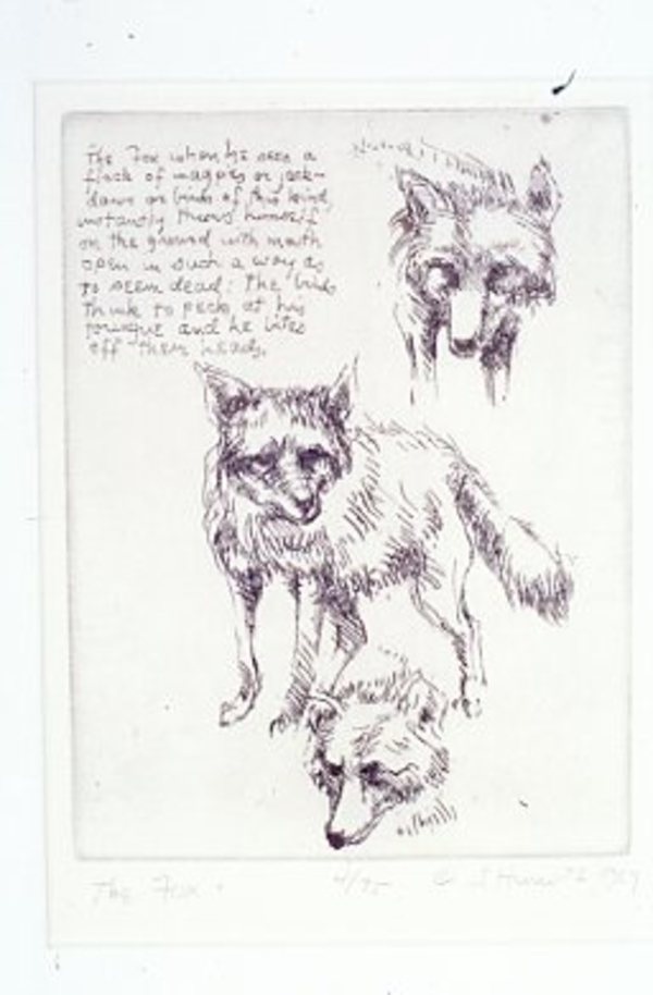 The Fox by Sid Hurwitz