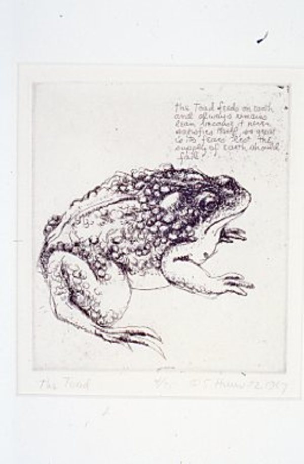 The Toad by Sid Hurwitz