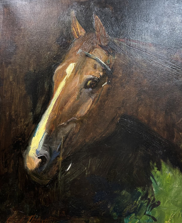 Portrait of a Horse by Abbott Thayer