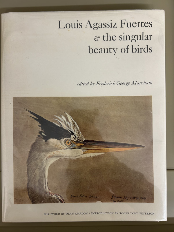 Louis Agassiz Fuertes & the singular beauty of birds by Louis Agassiz Feurtes