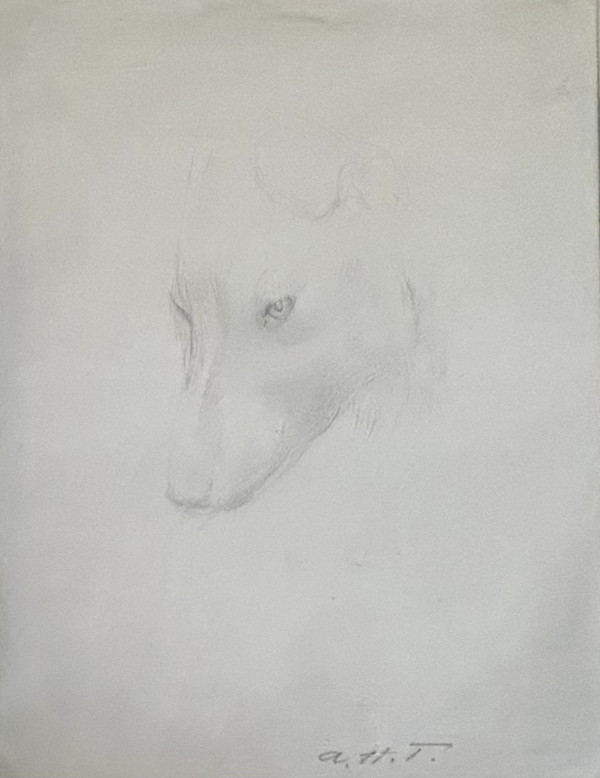 Sketch of Dog by Abbott Thayer