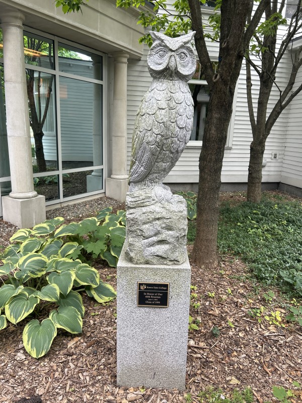 Owl by Unknown