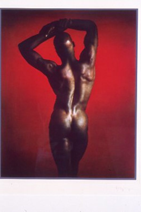 Untitled C by Robert Mapplethrope