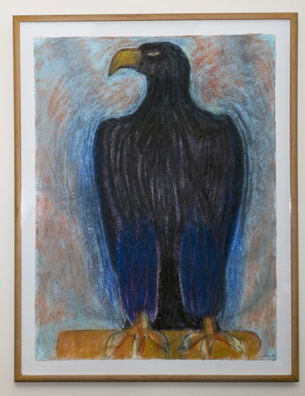 Eagle by Jane Thorne