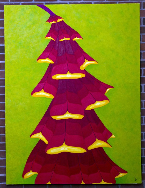 Once Upon a Pine by Kevin Cahill