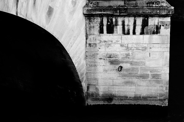 BOG_8 by Michael Benari