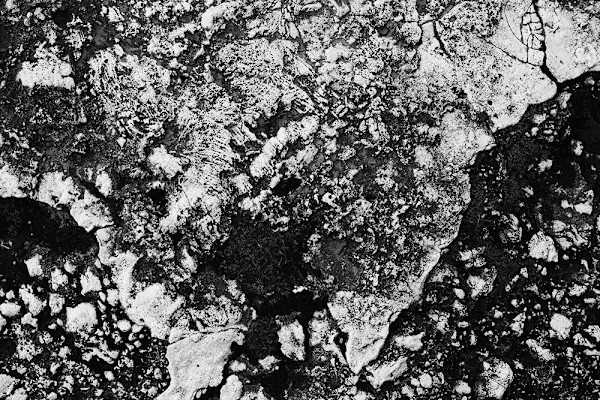 Getty Gardens 3 by Michael Benari