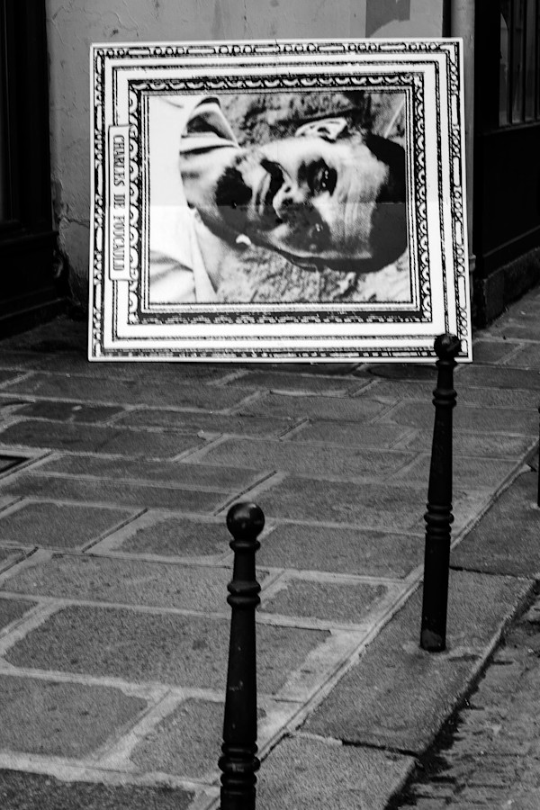 BOG_4 by Michael Benari