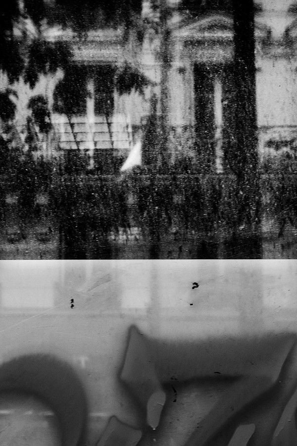 Gray Shadow 1 by Michael Benari