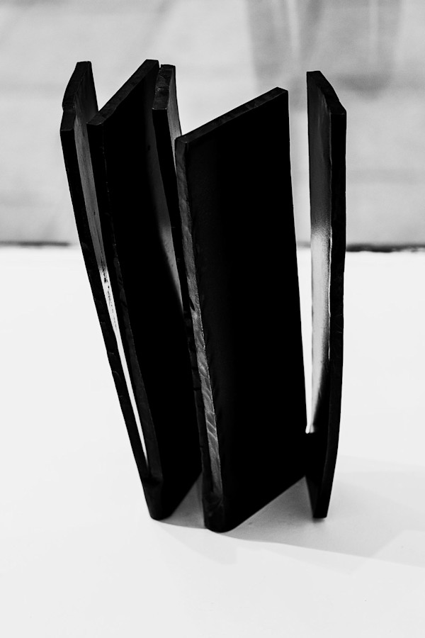 BOG_9 by Michael Benari