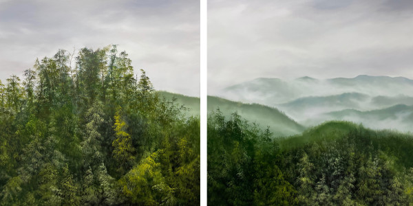 Forest for the Trees