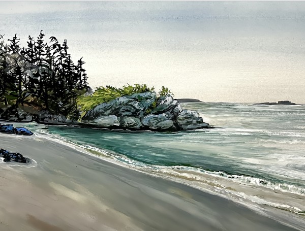 Florencia Bay Study