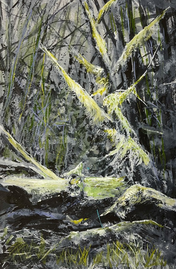 Deep Woods