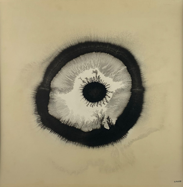 E-81 by Sal Sirugo, Image 1.