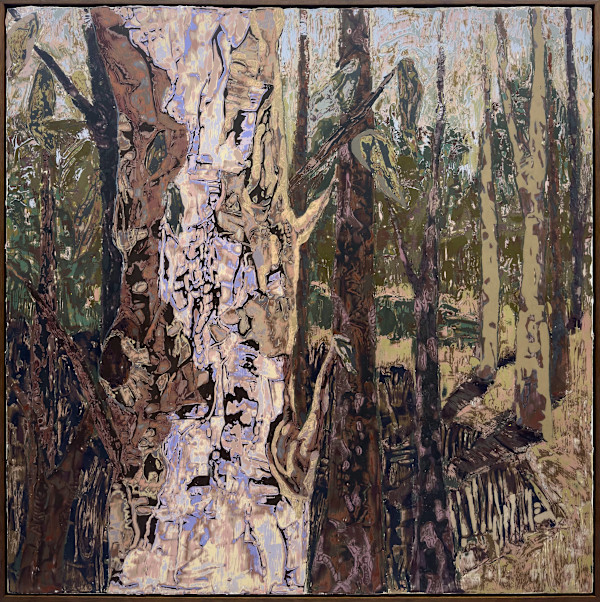 Bush Walks and Nature Talks by Korynn Morrison, Image 1.