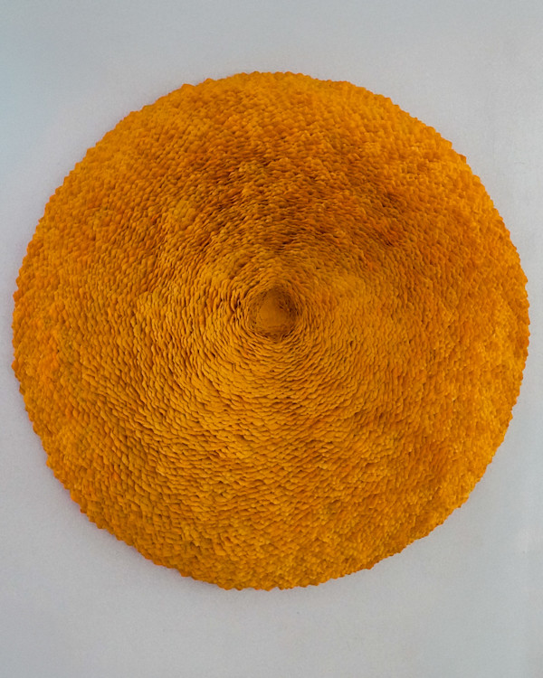 Amber by Molly Gambardella, Image 1.