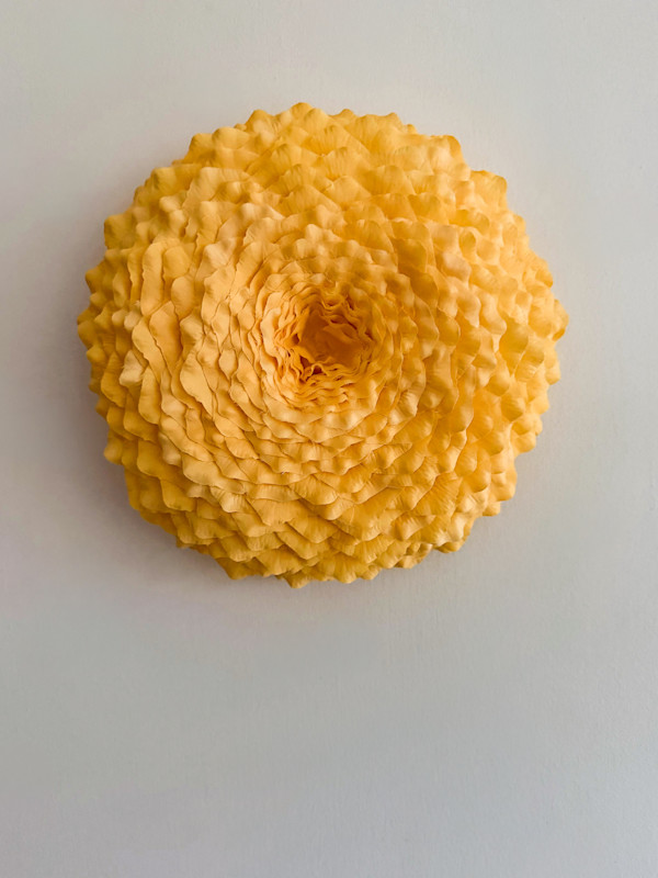 Apricot (study) by Molly Gambardella, Image 2.